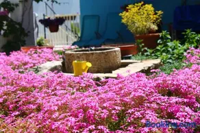 Apartments Yerkovic - Image 2