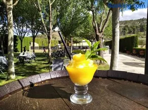 Chalet con piscina - Image 3
