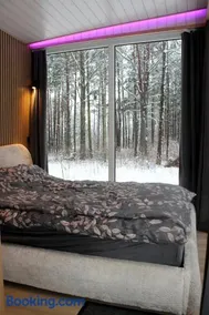 Minimaja ja saunamaja vaatega männimetsale - Image 3