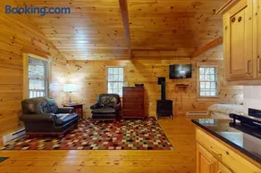 Idyllic dog-friendly studio cabin with AC, fireplace & WiFi - Image 3