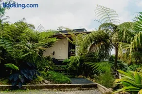 Element Quindío - Image 2