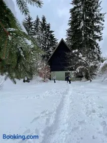 Romantic Forest House Tršće - Image 1