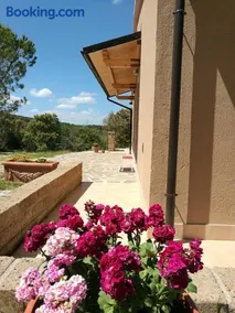Sonnellino in Maremma - Image 2