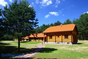 Asvejos slenis - Image 1