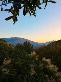 La Manna di Zabbra - Image 5