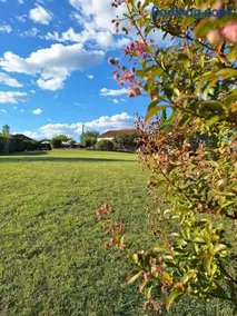 Favau - Image 2