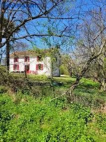 Petite maison dans les bois - Image 3