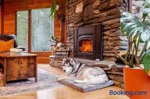 MapleCastle == HotTub, RiverSide, IndoorHummock, FirePlace, BackYard - Image 3