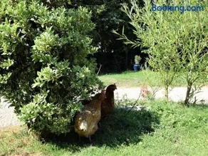 Hares Barn - Image 4