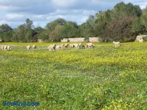Agroturisme Son Llado - Image 2