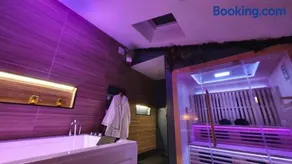 SAUNA, BALNEO, TERRASSE, PARKING, Le tout totalement privé dans maison indépendante à la décoration soignée, ensoleillé et sans vis à vis, Prise VE, Calme et discrétion Garantis, Idéalement situé pour visiter la région, Animaux bienvenues - Image 3