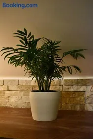 Residence Villa candida - Image 1