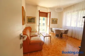 Al Numero 16 - Image 2