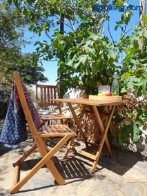 Olive -Casa da Boavista - Image 2