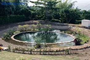 Guaduas de Jade Casa campestre - Image 4