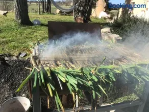 Mas Gelabertó - Image 1