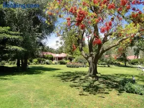 Hotel y Cabañas Palomar - Caja los Andes - Image 3