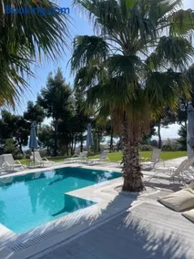 Pine Resort - Image 4