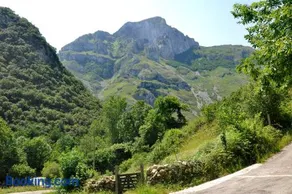 Río Aliso - Image 5