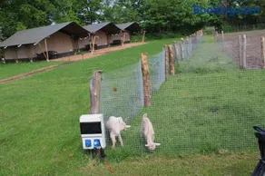 Camping De Waterbuffelfarm - Image 2