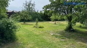 Privater Womo-Stellplatz im Wendland - Image 2