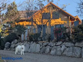 Le Ptit Beccon - Image 3