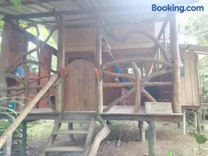 Lovely Amazon Rainforest Retreat - Image 4