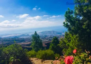 Tenerife Nature Retreat - Image 3