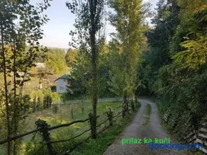"Popov VRT" Banoštor - kuća-vikendica na Dunavu-Fruskoj Gori - Image 5