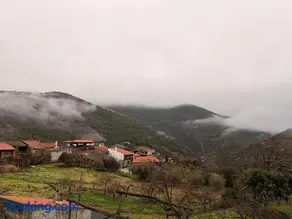 O Cantinho do Forno - Image 2