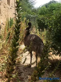 Le lieu unique - Image 1