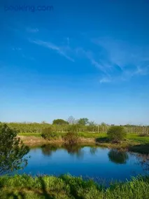 Orchard Haven - Image 3