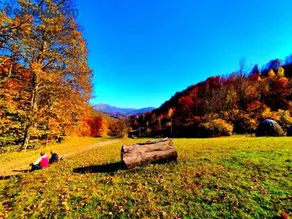 Zen Mont Chalet - Tara - Image 3