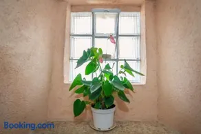 Dila apartment - Image 1