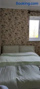Toad Hall Hostel - Image 4