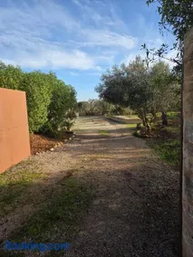 Sa Torreta - Image 4