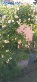 Ferienwohnung Sommer - Image 1