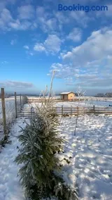 Brzozowisko Zalewo - Image 2