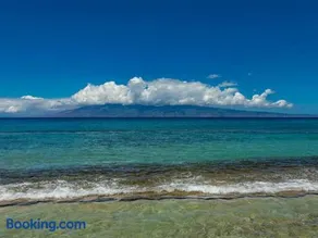 Paki Maui - Image 4