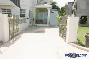 Palm Tree Ville - Image 1