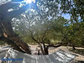 Villa Olive - Image 4