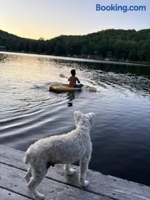 Lakefront Cottage Kayaks Pets Starlink AC - Image 1