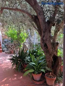 El Freginal - Image 4