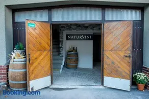 Penzion a vinařství NATURVINI - Image 2