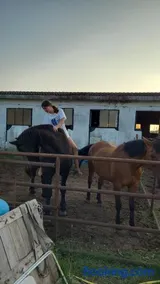 Maddy Appartamento - Image 2