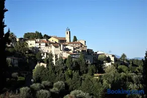 le romarin - Image 3