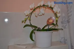Double M Apartment - Image 4