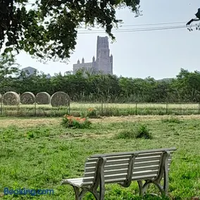 Gite à la campagne avec vue sur la Cathédrale - ALBI - Image 1