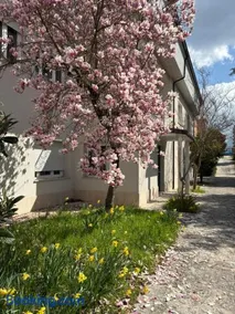 Il giardino di Silvia - Image 4