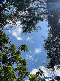 nido de montaña - Image 2